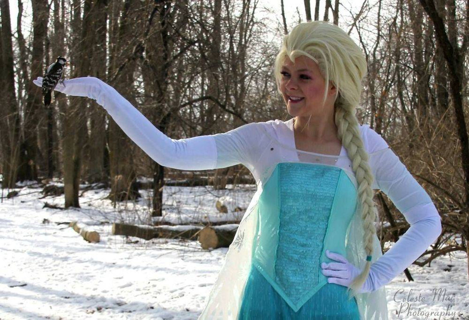 elsa, princess , party