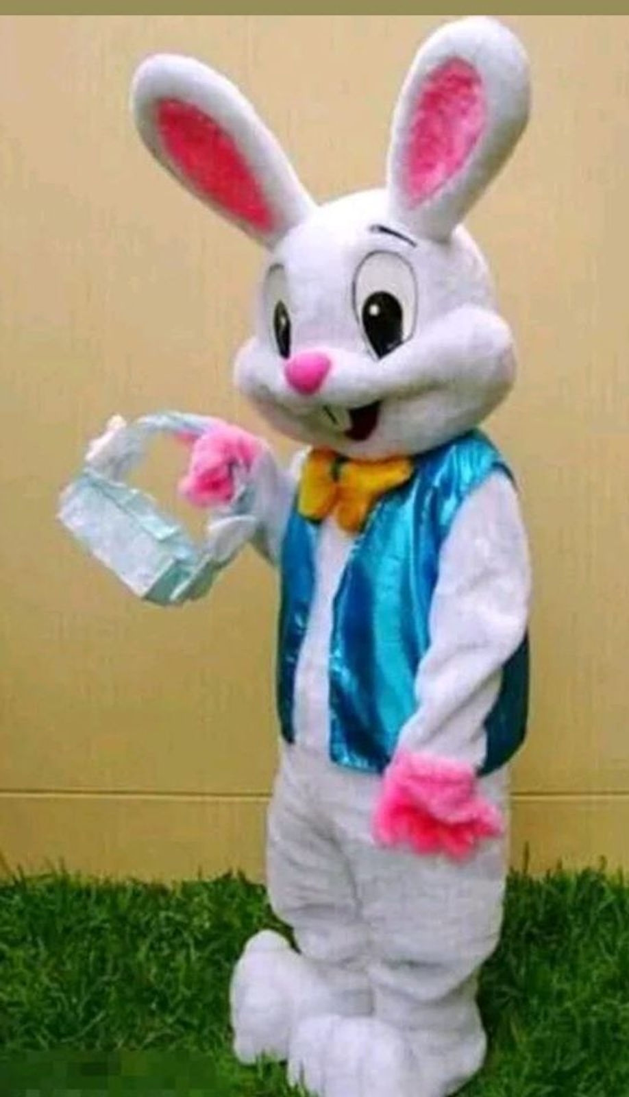 easter bunny, mascot